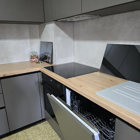 Apartment Mandica Seline
